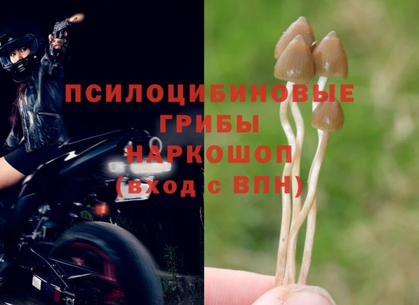 молекула духа Алзамай